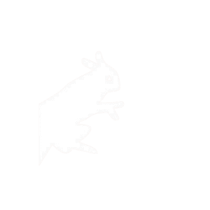 white rabbit logo